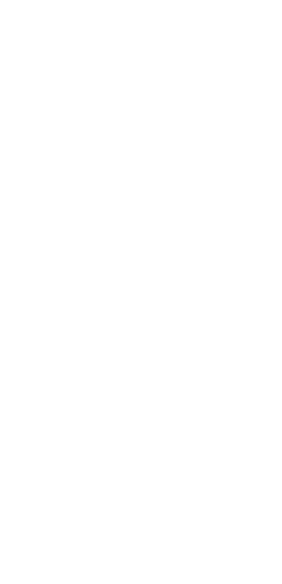 Video Shape 1
